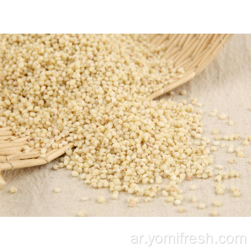 الأرز مع الذرة الرفيعة